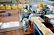 Tìm cách bảo đảm đời sống công nhân cao su